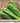 Anaheim Pepper Seed Pod
