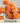 Marigolds Seed Pod