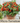 Micro-Tomato Seed Pod